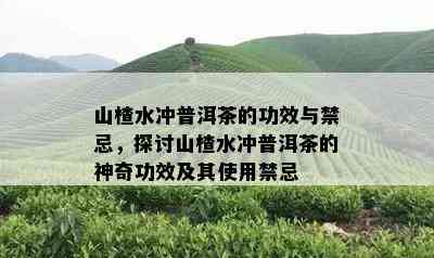 山楂水冲普洱茶的功效与禁忌，探讨山楂水冲普洱茶的神奇功效及其使用禁忌