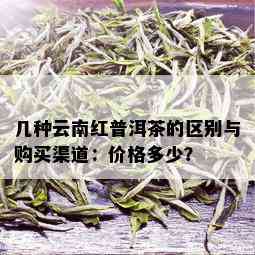 几种云南红普洱茶的区别与购买渠道：价格多少？