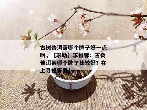 古树普洱茶哪个牌子好一点啊，【求助】求推荐：古树普洱茶哪个牌子比较好？在上寻找答案！