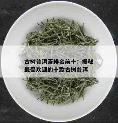 古树普洱茶排名前十：揭秘更受欢迎的十款古树普洱