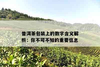 普洱茶包装上的数字含义解析：你不可不知的重要信息