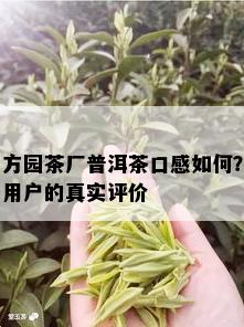 方园茶厂普洱茶口感如何？用户的真实评价