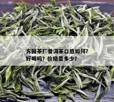 方园茶厂普洱茶口感如何？好喝吗？价格是多少？