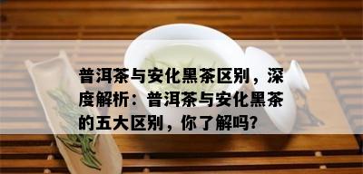 普洱茶与安化黑茶区别，深度解析：普洱茶与安化黑茶的五大区别，你了解吗？