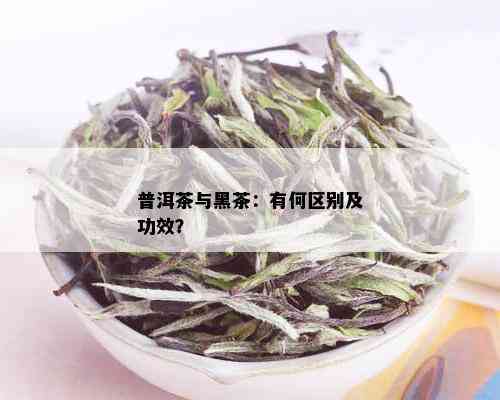 普洱茶与黑茶：有何区别及功效？