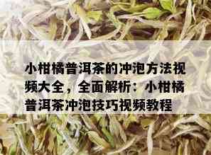 小柑橘普洱茶的冲泡方法视频大全，全面解析：小柑橘普洱茶冲泡技巧视频教程