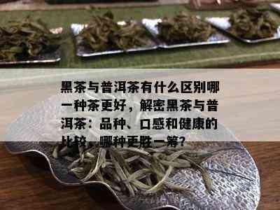 黑茶与普洱茶有什么区别哪一种茶更好，解密黑茶与普洱茶：品种、口感和健康的比较，哪种更胜一筹？