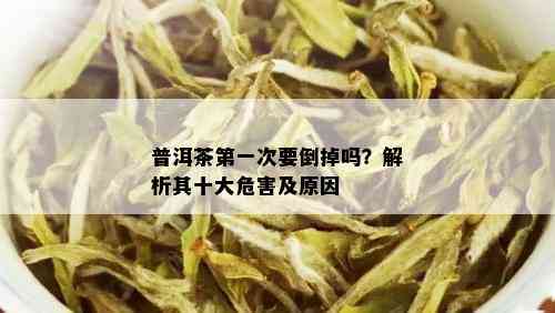 普洱茶之一次要倒掉吗？解析其十大危害及原因