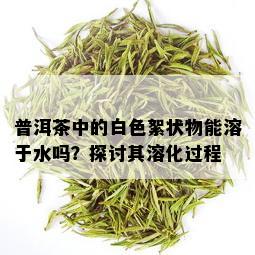 普洱茶中的白色絮状物能溶于水吗？探讨其溶化过程