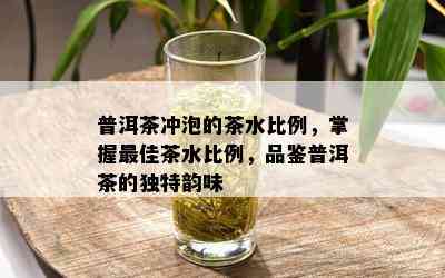 普洱茶冲泡的茶水比例，掌握更佳茶水比例，品鉴普洱茶的独特韵味