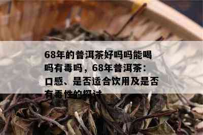 68年的普洱茶好吗吗能喝吗有吗，68年普洱茶：口感、是否适合饮用及是否有性的探讨