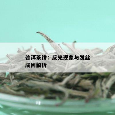 普洱茶饼：反光现象与发丝成因解析