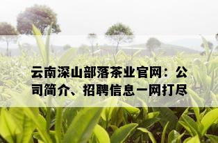 云南深山部落茶业官网：公司简介、招聘信息一网打尽