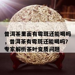 普洱茶里面有霉斑还能喝吗，普洱茶有霉斑还能喝吗？专家解析茶叶变质问题