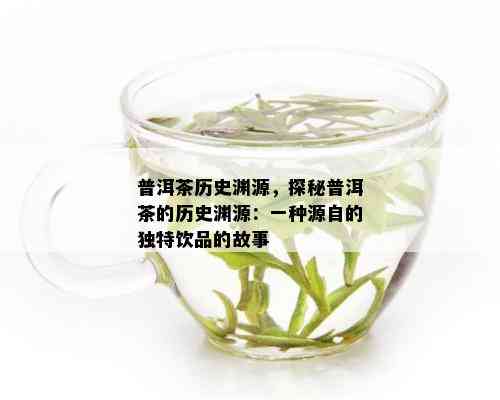 普洱茶历史渊源，探秘普洱茶的历史渊源：一种源自的独特饮品的故事