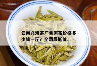 云南兴海茶厂普洱茶价格多少钱一斤？全网更低价！