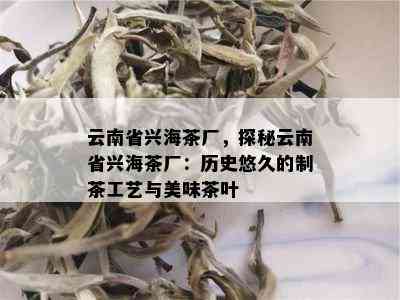 云南省兴海茶厂，探秘云南省兴海茶厂：历史悠久的制茶工艺与美味茶叶