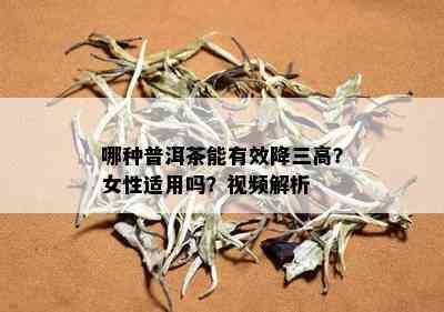 哪种普洱茶能有效降三高？女性适用吗？视频解析