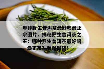 哪种野生普洱茶更好喝最正宗图片，揭秘野生普洱茶之王：哪种野生普洱茶更好喝、最正宗？看图揭晓！