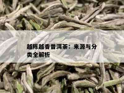 越陈越香普洱茶：来源与分类全解析