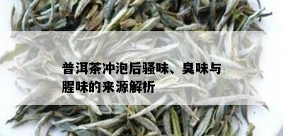 普洱茶冲泡后骚味、臭味与腥味的来源解析