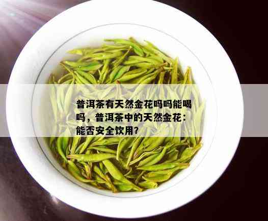 普洱茶有天然金花吗吗能喝吗，普洱茶中的天然金花：能否安全饮用？