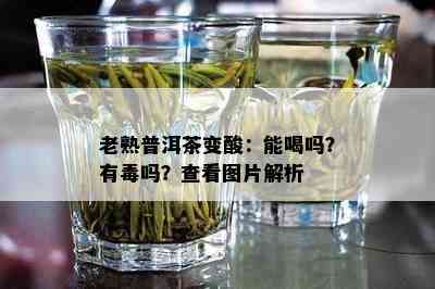 老熟普洱茶变酸：能喝吗？有吗？查看图片解析