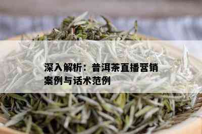 深入解析：普洱茶直播营销案例与话术范例