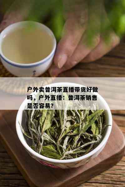 户外卖普洱茶直播带货好做吗，户外直播：普洱茶销售是否容易？