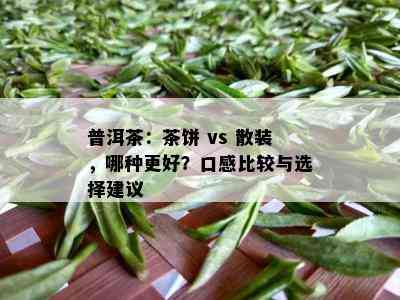 普洱茶：茶饼 vs 散装，哪种更好？口感比较与选择建议