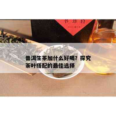 普洱生茶加什么好喝？探究茶叶搭配的更佳选择