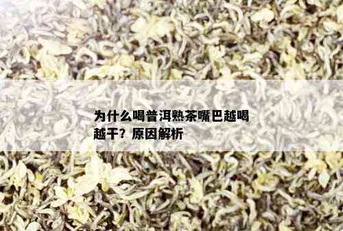 为什么喝普洱熟茶嘴巴越喝越干？原因解析