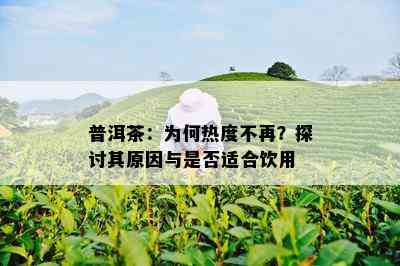 普洱茶：为何热度不再？探讨其原因与是否适合饮用