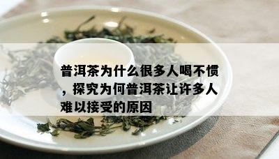 普洱茶为什么很多人喝不惯，探究为何普洱茶让许多人难以接受的原因