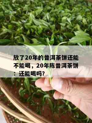 放了20年的普洱茶饼还能不能喝，20年陈普洱茶饼：还能喝吗？