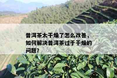 普洱茶太干燥了怎么改善，如何解决普洱茶过于干燥的问题？