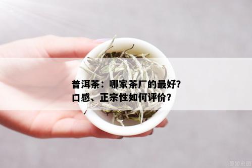 普洱茶：哪家茶厂的更好？口感、正宗性如何评价？