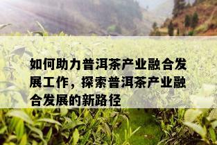 如何助力普洱茶产业融合发展工作，探索普洱茶产业融合发展的新路径