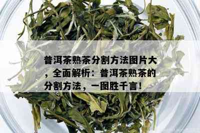 普洱茶熟茶分割方法图片大，全面解析：普洱茶熟茶的分割方法，一图胜千言！