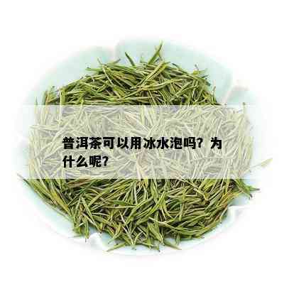 普洱茶可以用冰水泡吗？为什么呢？