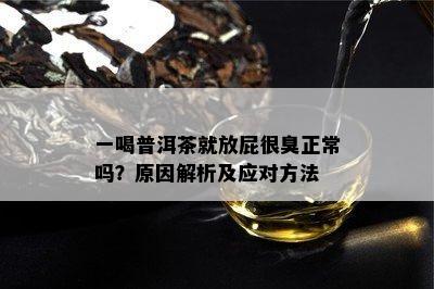 一喝普洱茶就放屁很臭正常吗？原因解析及应对方法