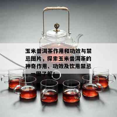 玉米普洱茶作用和功效与禁忌图片，探索玉米普洱茶的神奇作用、功效及饮用禁忌，一图了解！