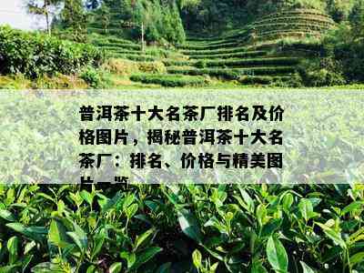 普洱茶十大名茶厂排名及价格图片，揭秘普洱茶十大名茶厂：排名、价格与精美图片一览