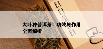 大叶种普洱茶：功效与作用全面解析