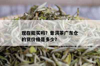 现在能买吗？普洱茶广东仓的货价格是多少？