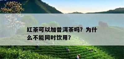 红茶可以加普洱茶吗？为什么不能同时饮用？