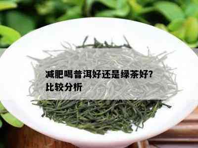 减肥喝普洱好还是绿茶好？比较分析