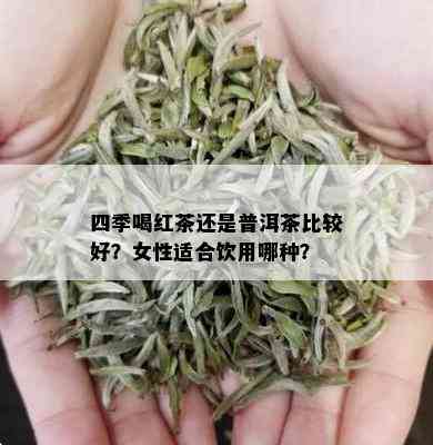 四季喝红茶还是普洱茶比较好？女性适合饮用哪种？