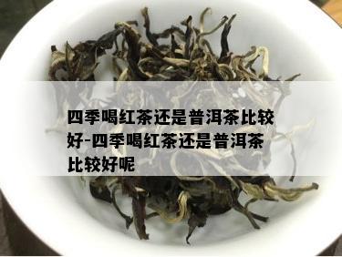 四季喝红茶还是普洱茶比较好-四季喝红茶还是普洱茶比较好呢