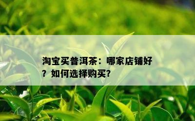 淘宝买普洱茶：哪家店铺好？如何选择购买？